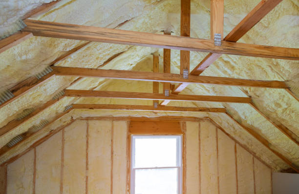 Best Blown-in Insulation  in Seven Oaks, SC