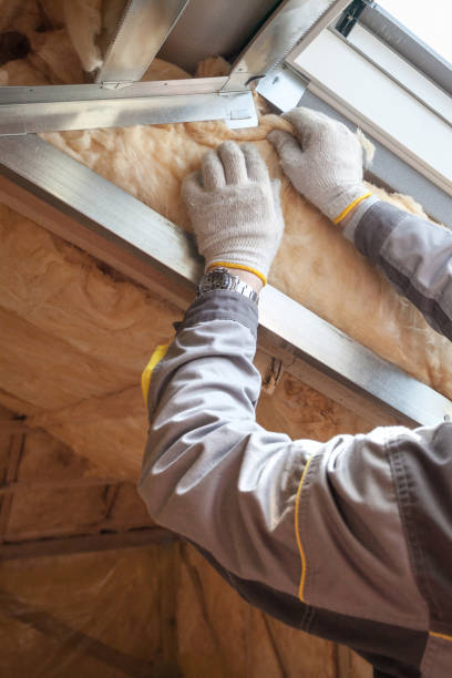 Insulation Replacement Services in Seven Oaks, SC