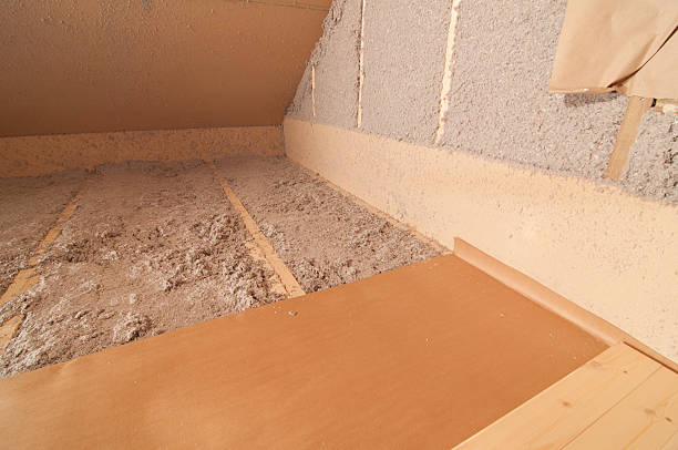 Best Insulation Removal  in Seven Oaks, SC